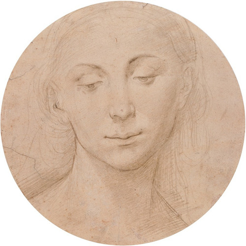 A Female Head  Poster Print by Lorenzo di Credi