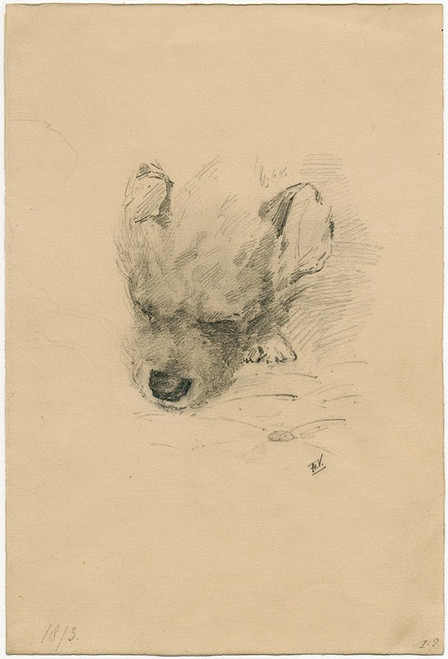 Head of a dog  Poster Print by Floris Verster