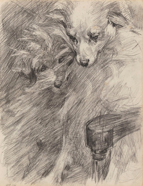 Dog  Poster Print by James Ensor