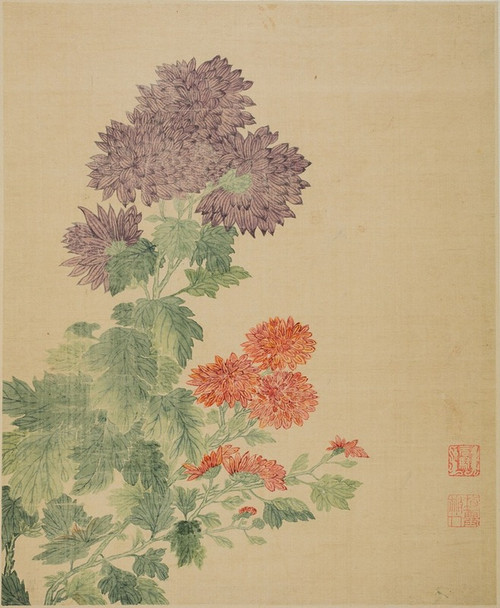Chrysanthemums  Poster Print by Ma Yuanyu