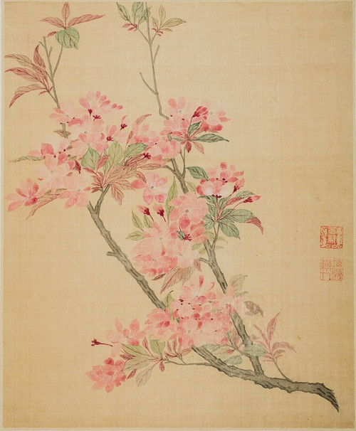 Crabapple Blossoms  Poster Print by Ma Yuanyu
