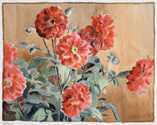 Dahlias  Poster Print by Hannah Borger Overbeck
