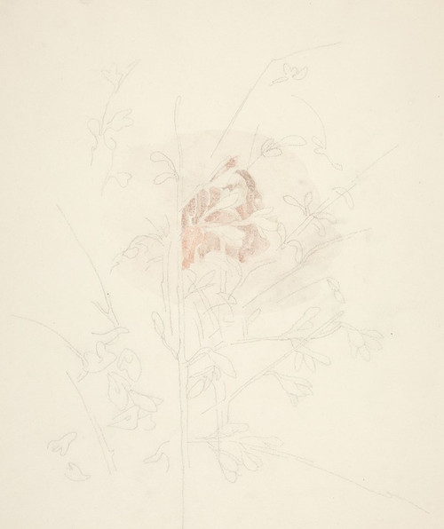 Flower  Poster Print by Charles Demuth
