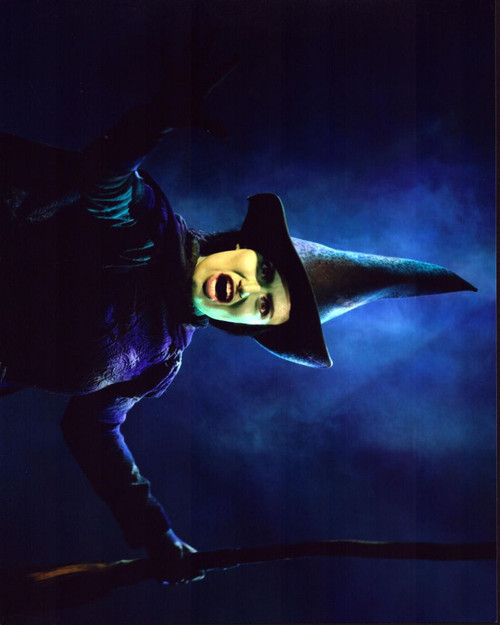 Idina Menzel Close Up On Stage In Wicked Photo Print