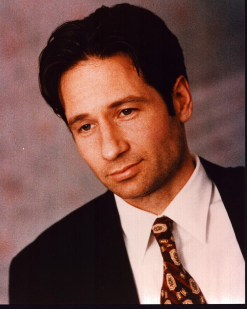David Duchovny In Suit With Patterned Tie Photo Print