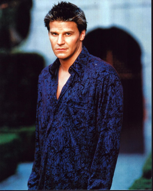 David Boreanaz In Blue And Black Shirt Photo Print