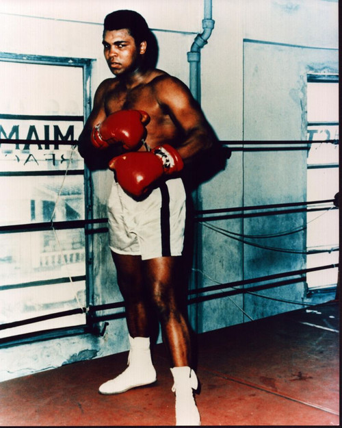 Muhammad Ali In Boxing Ring Photo Print