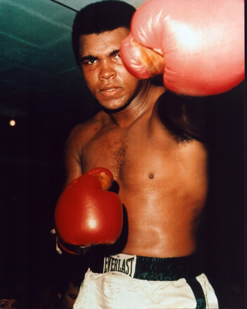 Muhammad Ali Punching In Red Gloves Photo Print