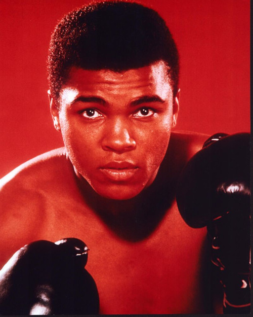 Muhammad Ali With Gloves Up Red Background Photo Print