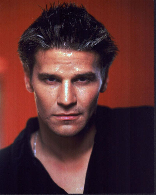 David Boreanaz Headshot In Black Red Background Photo Print