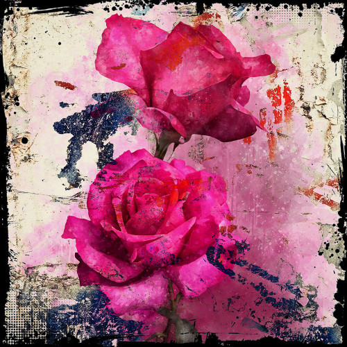 Roses Poster Print - Micha Baker