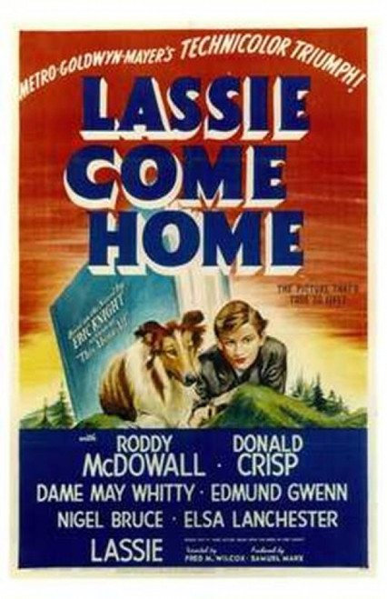 Son of Lassie Movie Poster (11 x 17) - Item # MOV199481 - Posterazzi