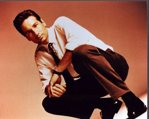 David Duchovny Crouching In Brown Pants Photo Print