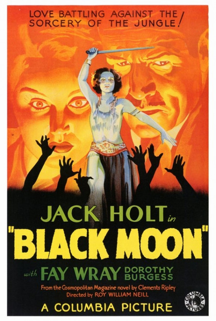 Black Moon Movie Poster Print (27 x 40) - Item # MOVIF5175