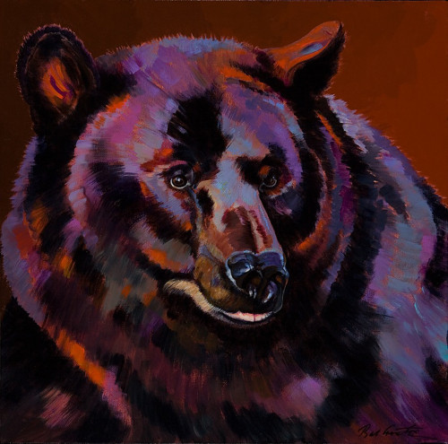 Black Bear Poster Print by Bob Coonts (12 x 12) - Item # PAIBC11027