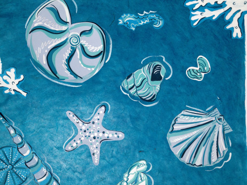 Shells 2 Poster Print by Sara Henry (21 x 28) - Item # PAISH6334