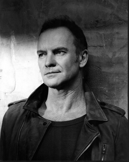 Sting Leaning On Brick Wall Photo Print