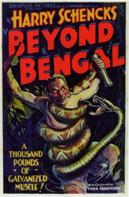 Beyond Bengal Movie Poster (11 x 17) - Item # MOV202625