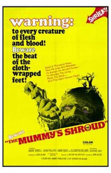The Mummy's Shroud Movie Poster (11 x 17) - Item # MOV204381