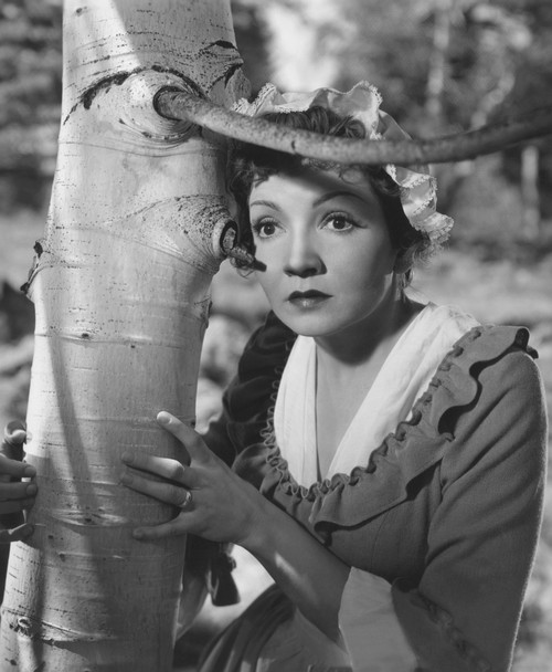 Drums Along The Mohawk Photo Print (8 x 10) - Item # EVCMBDDRALFE028