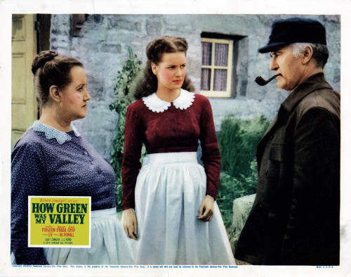 How Green Was My Valley Photo Print (10 x 8) - Item # EVCMCDHOGRFE004