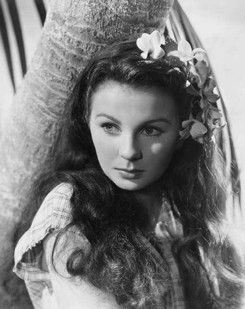 The Blue Lagoon Photo Print (16 x 20) - Item # EVCMBDBLLAEC033LARGE