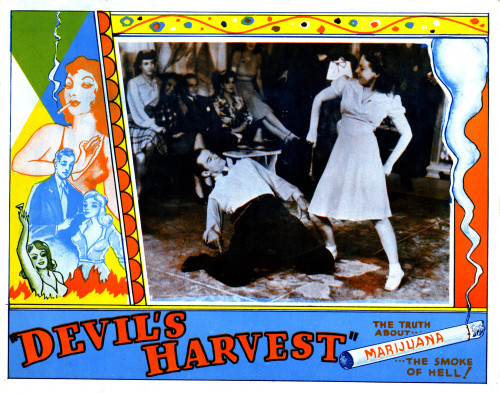 Devil'S Harvest Photo Print (20 x 16) - Item # EVCMBDDEHAEC040LARGE