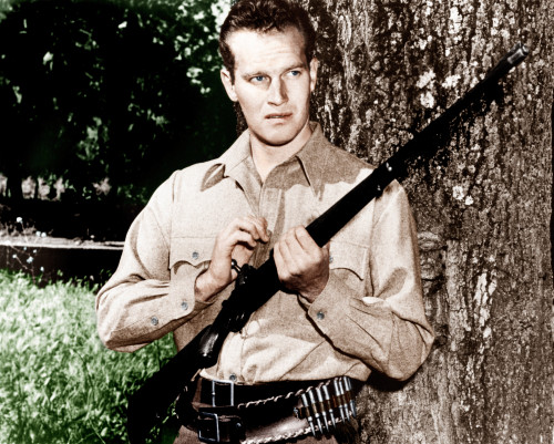 Ruby Gentry Charlton Heston 1952. ?20Th Century Fox-Film Corporation Tm & Copyright/Courtesy Everett Collection Photo Print - Item # VAREVCM8DRUGEFE001H