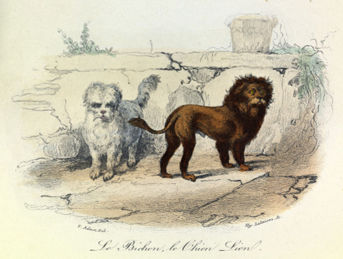 Engraving Poster Print - Item # VAREVCCRLA004YF101H