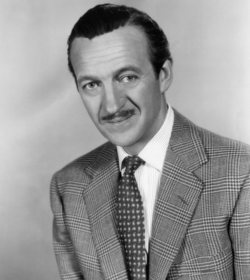 The Silken Affair David Niven 1956 Photo Print - Item # VAREVCMBDSIAFEC001H