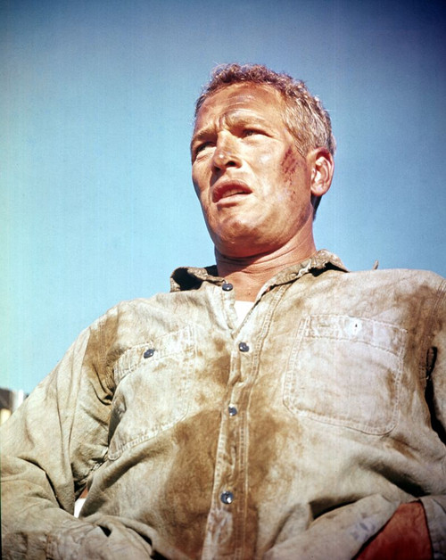Cool Hand Luke Photo Print - Item # VAREVCMMDCOHAEC005