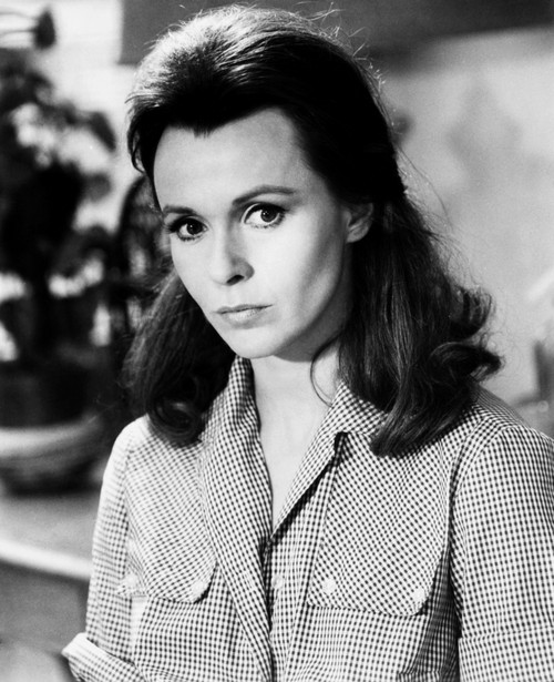 Three Into Two Won'T Go Claire Bloom 1969 Photo Print - Item # VAREVCMBDTHINEC079H