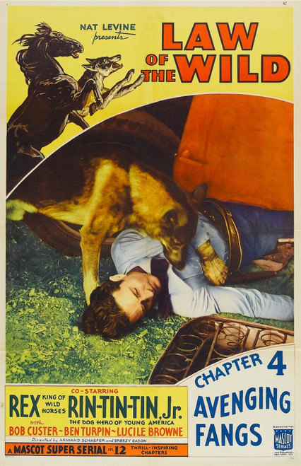 Law Of The Wild Top Left: Rex Rin Tin Tin Inset Left: Rin Tin Tin In 'Chapter 4: Avenging Fangs' 1934. Movie Poster Masterprint - Item # VAREVCMCDLAOFEC189H