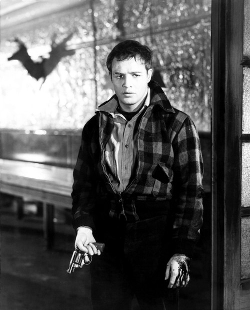 On The Waterfront Marlon Brando 1954 Photo Print - Item # VAREVCMBDONTHEC267H