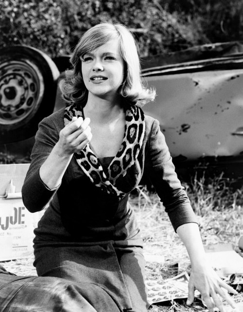 The Satan Bug Anne Francis 1965 Photo Print