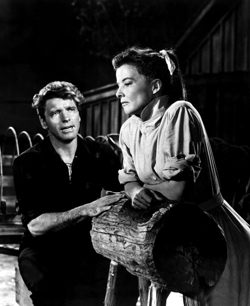 The Rainmaker Burt Lancaster Katharine Hepburn 1956 Photo Print - Item # VAREVCMBDRAINEC011H