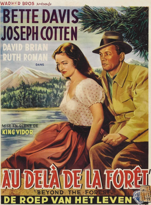 Beyond The Forest L-R: Bette Davis Joseph Cotten On Belgian Poster Art 1949 Movie Poster Masterprint - Item # VAREVCMCDBETHEC158H