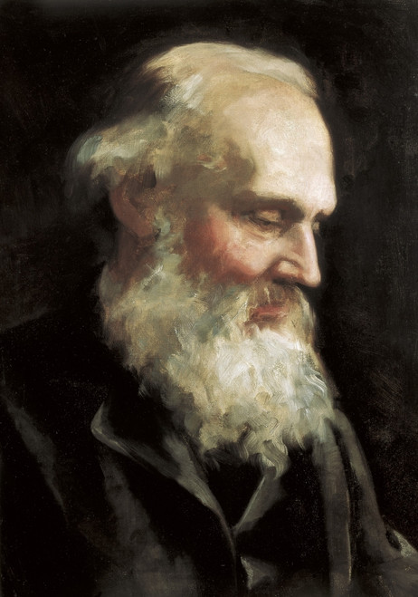 Kelvin William Thomson Baron. Anonymous Portrait. Oil On Canvas. United Kingdom. Scotland. Edinburgh. Scottish National Portrait Gallery. ?? Aisa/Everett Collection Poster Print - Item # VAREVCFINA051AH032H