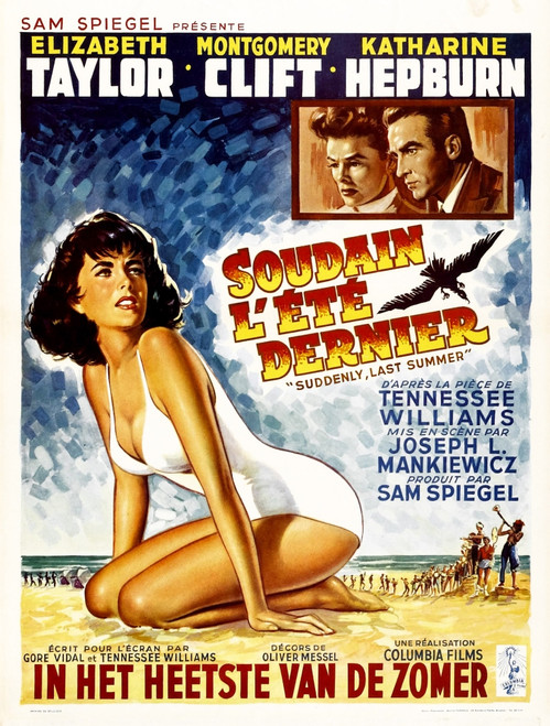 Suddenly Last Summer Elizabeth Taylor; Top Right: Katharine Hepburn Montgomery Clift Belgian Poster 1959. Movie Poster Masterprint - Item # VAREVCMCDSULAEC007H