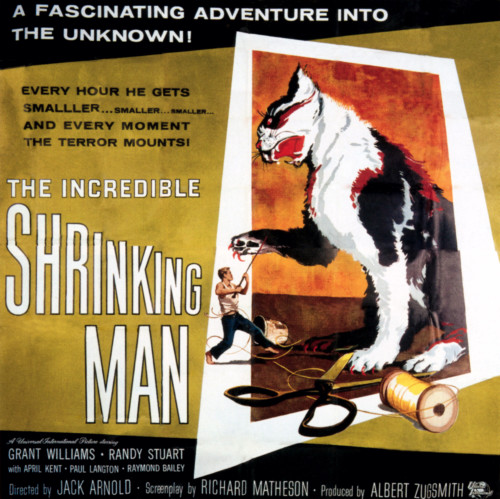 The Incredible Shrinking Man 1957. Movie Poster Masterprint - Item # VAREVCMMDINSHEC004H