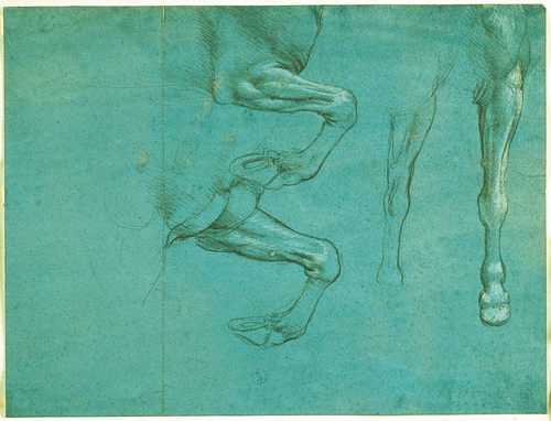 Studies Of Horse Front Legs Poster Print - Item # VAREVCMOND029VJ547H