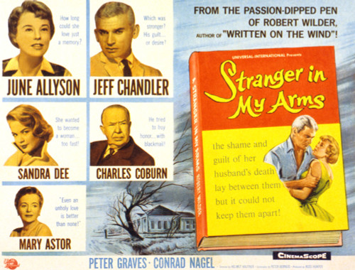 Stranger In My Arms June Allyson Jeff Chandler Sandra Dee Charles Coburn Mary Astor 1959 Movie Poster Masterprint - Item # VAREVCMSDSTINEC081H