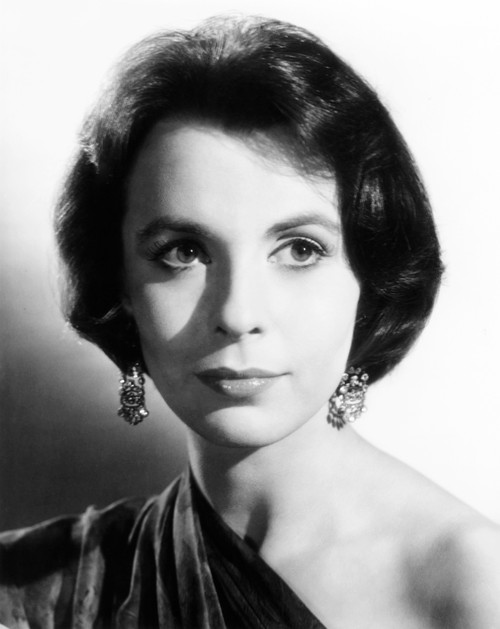 Look Back In Anger Claire Bloom 1959 Photo Print - Item # VAREVCMBDLOBAEC026H
