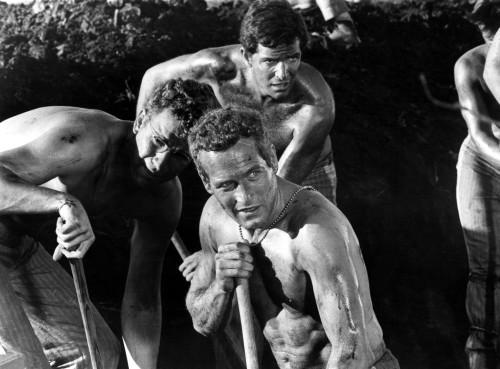 Cool Hand Luke Photo Print - Item # VAREVCMBDCOHAEC002