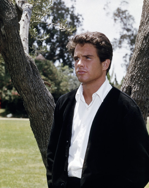 Warren Beatty 1960S Photo Print - Item # VAREVCPCDWABEEC002H