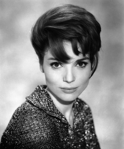 Blood And Roses Elsa Martinelli 1960 Photo Print - Item # VAREVCMBDBLANEC082H