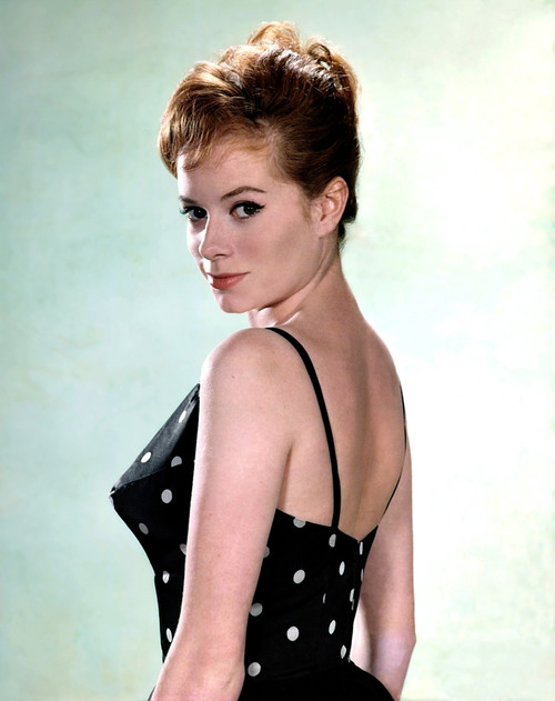 Luciana Paluzzi C. 1960S. Photo Print - Item # VAREVCPCDLUPAEC001H