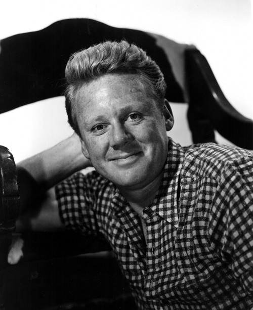 Van Johnson Wearing A Checkered Shirt. Photo Print - Item # VAREVCPBDVAJOEC010H