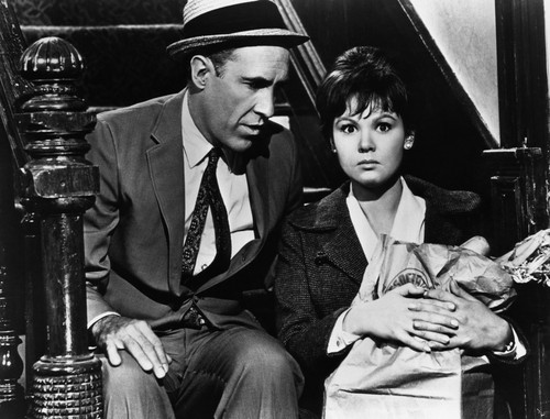 A Thousand Clowns Jason Robards Barbara Harris 1965 Photo Print - Item # VAREVCMBDTHCLEC009H