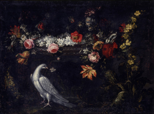 Flower And Pigeon Poster Print - Item # VAREVCMOND075VJ279H